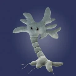 Heebiejeebies Gigantic Plush Neuron Brain Cell 68cms Giant Products