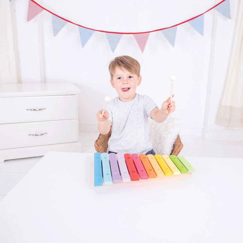 Artiwood Coloured Wooden Xylophone 1 Artiwood Coloured Wooden Xylophone