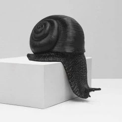 Sports And Outdoors Shelf Snail Decor | White Moose