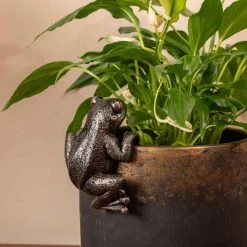 Jasnor Bronze Pot Buddies Frog Gifts For Grandmas