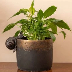 Jasnor Bronze Snail Pot Buddies Gifts For Grandmas