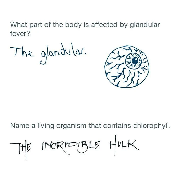 Brumby Sunstate F In Exams Paperback Book Fun Books 4 Brumby Sunstate F In Exams Paperback Book Fun Books