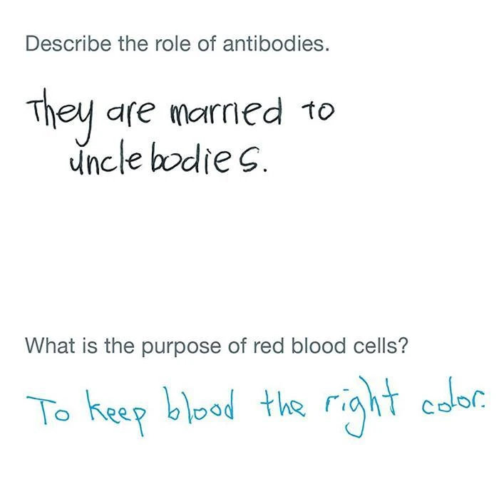 Brumby Sunstate F In Exams Paperback Book Fun Books 5 Brumby Sunstate F In Exams Paperback Book Fun Books