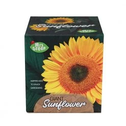 Heebiejeebies Giant Sunflower Growing Kit Giant Products