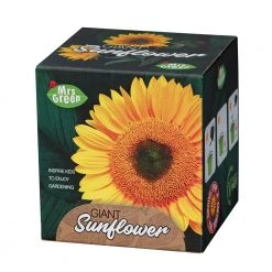 Heebiejeebies Giant Sunflower Growing Kit Giant Products