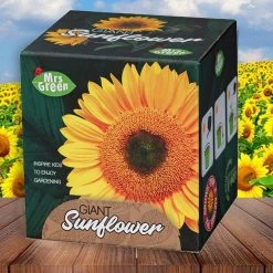 Heebiejeebies Giant Sunflower Growing Kit Giant Products