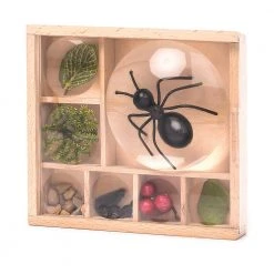 IsAlbi Great Outdoors Bug Box Magnifying Display 9 IsAlbi Great Outdoors Bug Box Magnifying Display