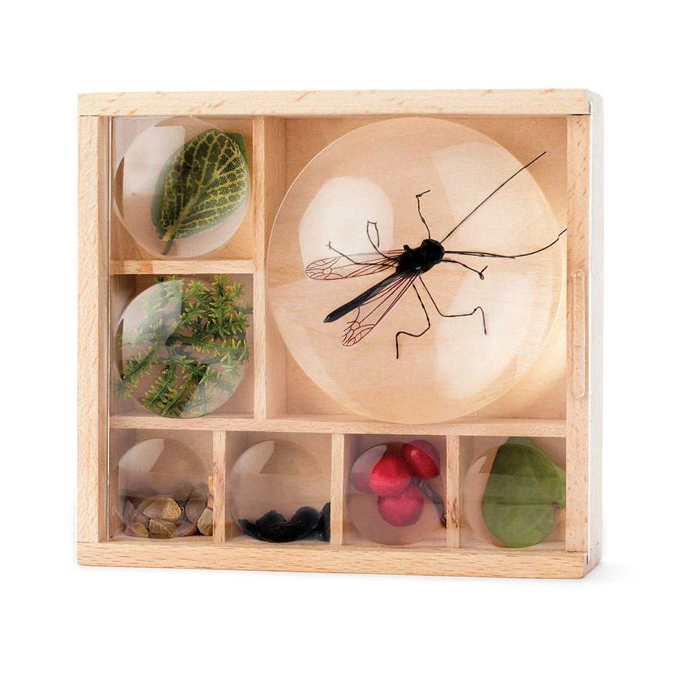 IsAlbi Great Outdoors Bug Box Magnifying Display 1 IsAlbi Great Outdoors Bug Box Magnifying Display