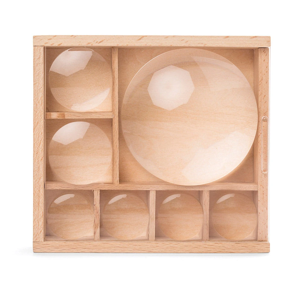 IsAlbi Great Outdoors Bug Box Magnifying Display 2 IsAlbi Great Outdoors Bug Box Magnifying Display