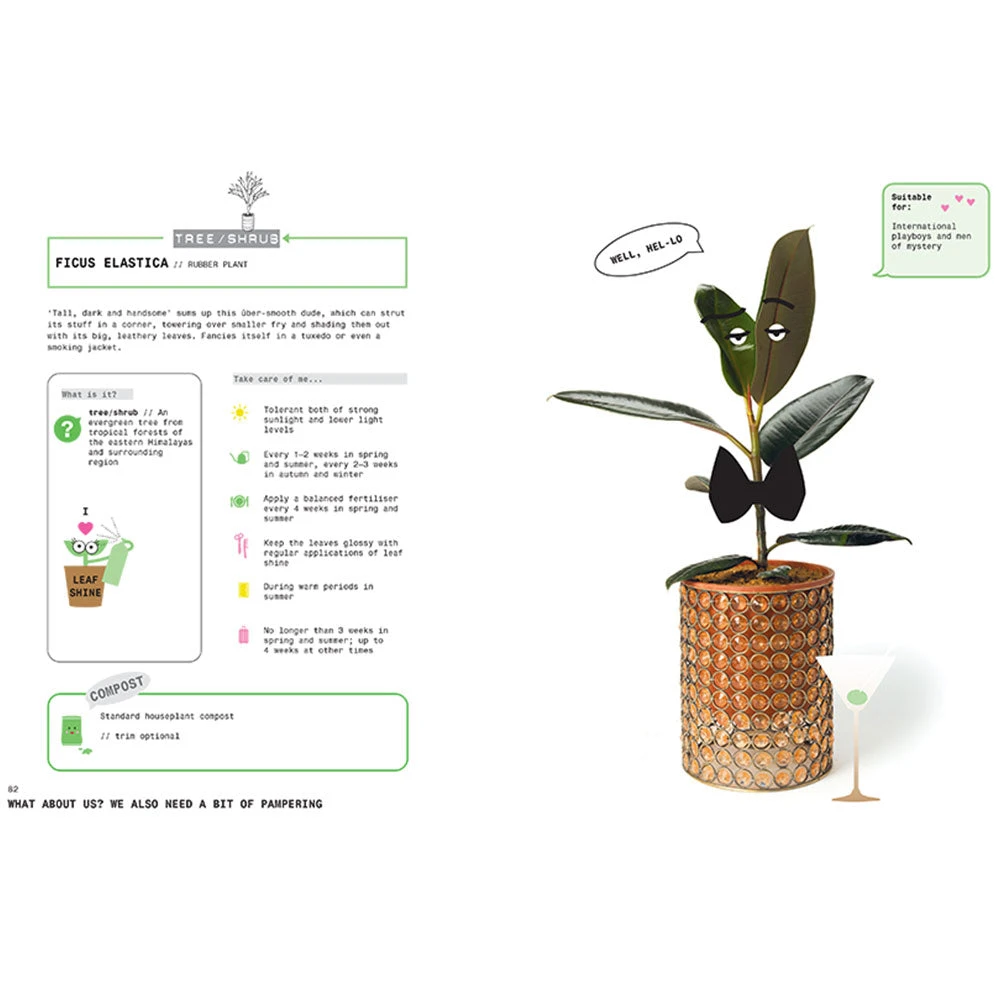 Brumby Sunstate Gifts For Sisters Grow Your Own Pet Plants Book 3 Brumby Sunstate Gifts For Sisters Grow Your Own Pet Plants Book