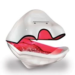 WTF Infrared Supine Personal Sauna Everything