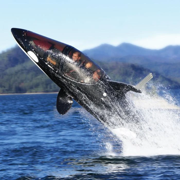 WTF Killer Whale Submarine Everything 2 WTF Killer Whale Submarine Everything