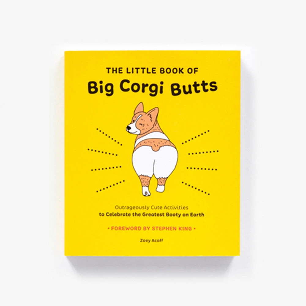 Brumby Sunstate Little Book Of Big Corgi Butts Activity Book 1 Brumby Sunstate Little Book Of Big Corgi Butts Activity Book