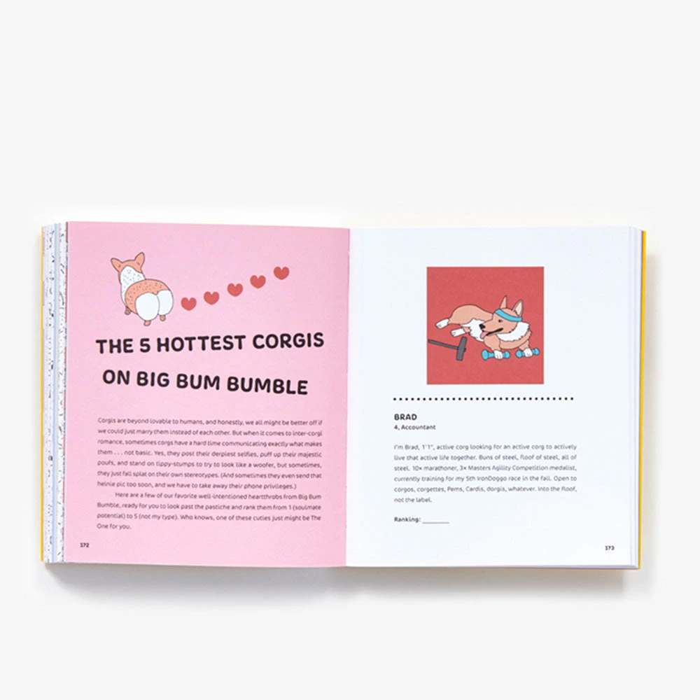 Brumby Sunstate Little Book Of Big Corgi Butts Activity Book 5 Brumby Sunstate Little Book Of Big Corgi Butts Activity Book