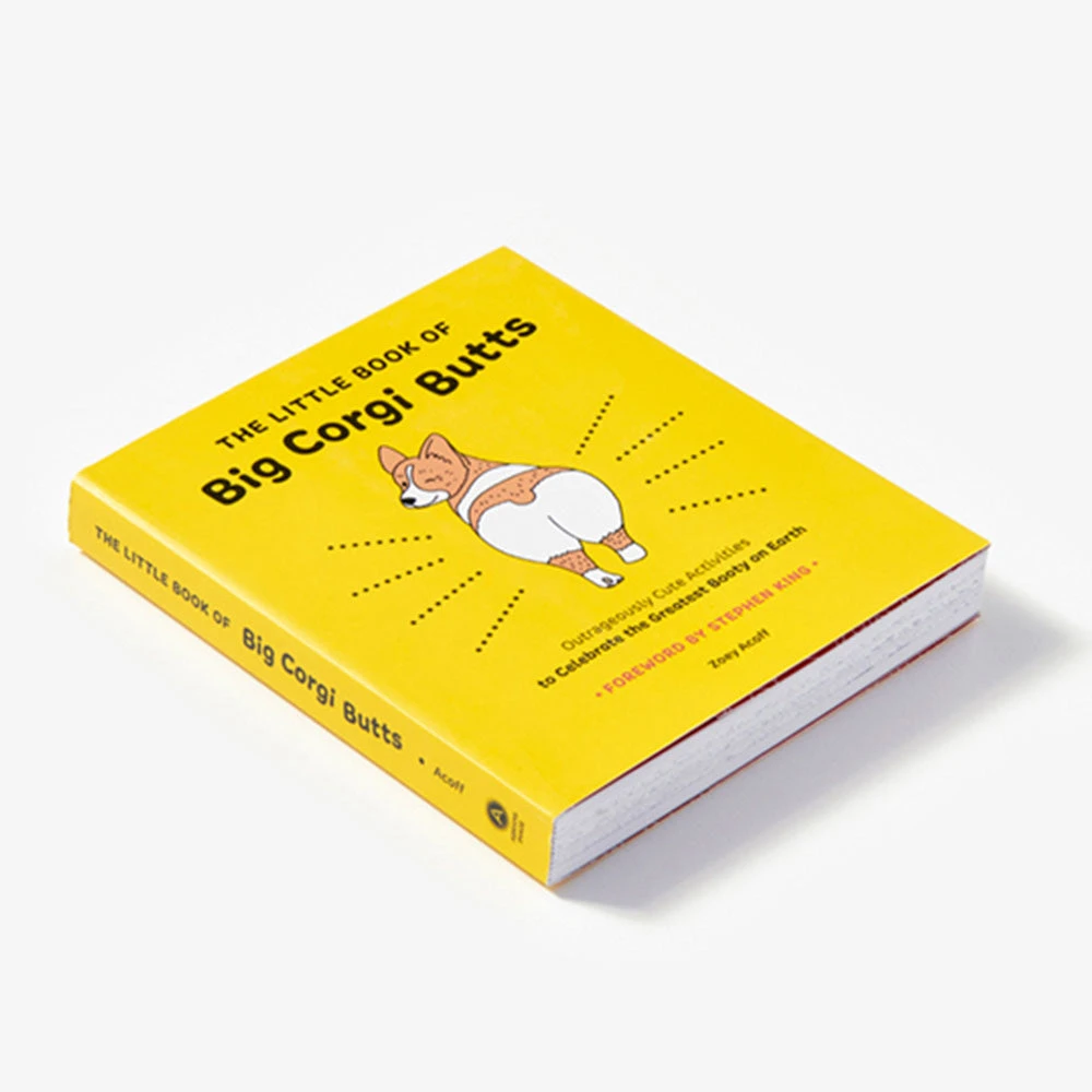 Brumby Sunstate Little Book Of Big Corgi Butts Activity Book 6 Brumby Sunstate Little Book Of Big Corgi Butts Activity Book