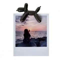 Paperie Lucky Magnetic Photo Holder Office Gifts