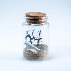 Short Story Gifts For BFFs Mini Ocean Breeze Write & Gift Message In A Bottle 7.5cms