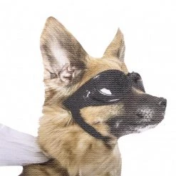 ThumbsUp! Mens Novelty Gifts Ride With Goggle Dog Car Window Decal