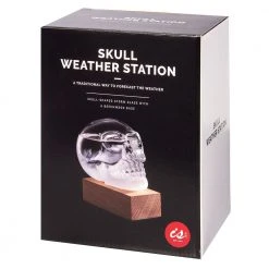 IsAlbi Man Cave Gifts Skull Storm Glass Weather Station 10 IsAlbi Man Cave Gifts Skull Storm Glass Weather Station