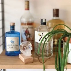 IsAlbi Man Cave Gifts Skull Storm Glass Weather Station 11 IsAlbi Man Cave Gifts Skull Storm Glass Weather Station