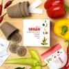 Steady Sticks 'Some Like It Hot' Pepper Grow Kit