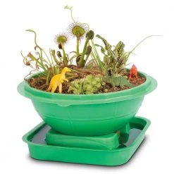 Heebiejeebies Terra Sphere Dinosaur Garden Dome Kit Homewares
